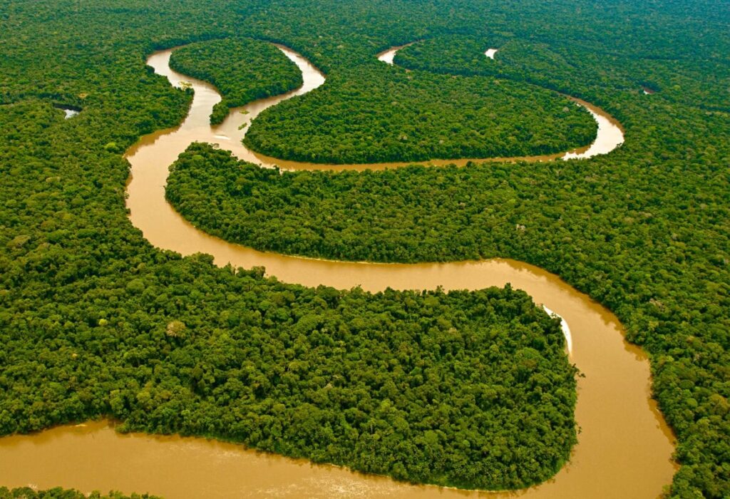 Amazon Rainforest – The Lungs of the Earth